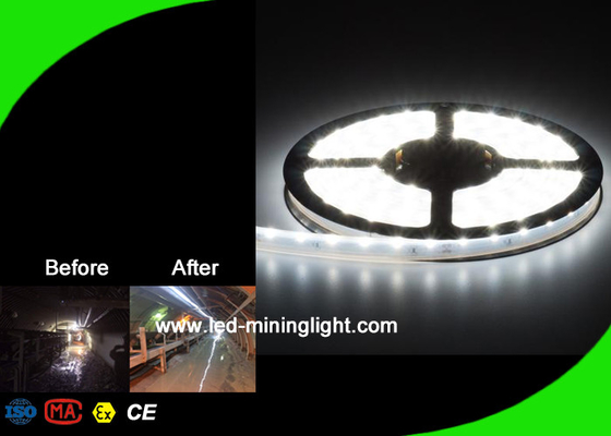 16W / M چراغ های نوار انعطاف پذیر LED چراغ های روبان LED با لومن بالا OEM ODM Service