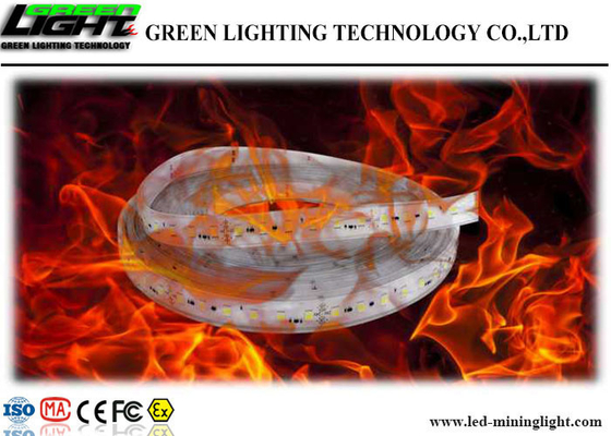 ضد انفجار LED چراغ نوار انعطاف پذیر DC 24V مقاوم در برابر شوک با ژل سیلیکا